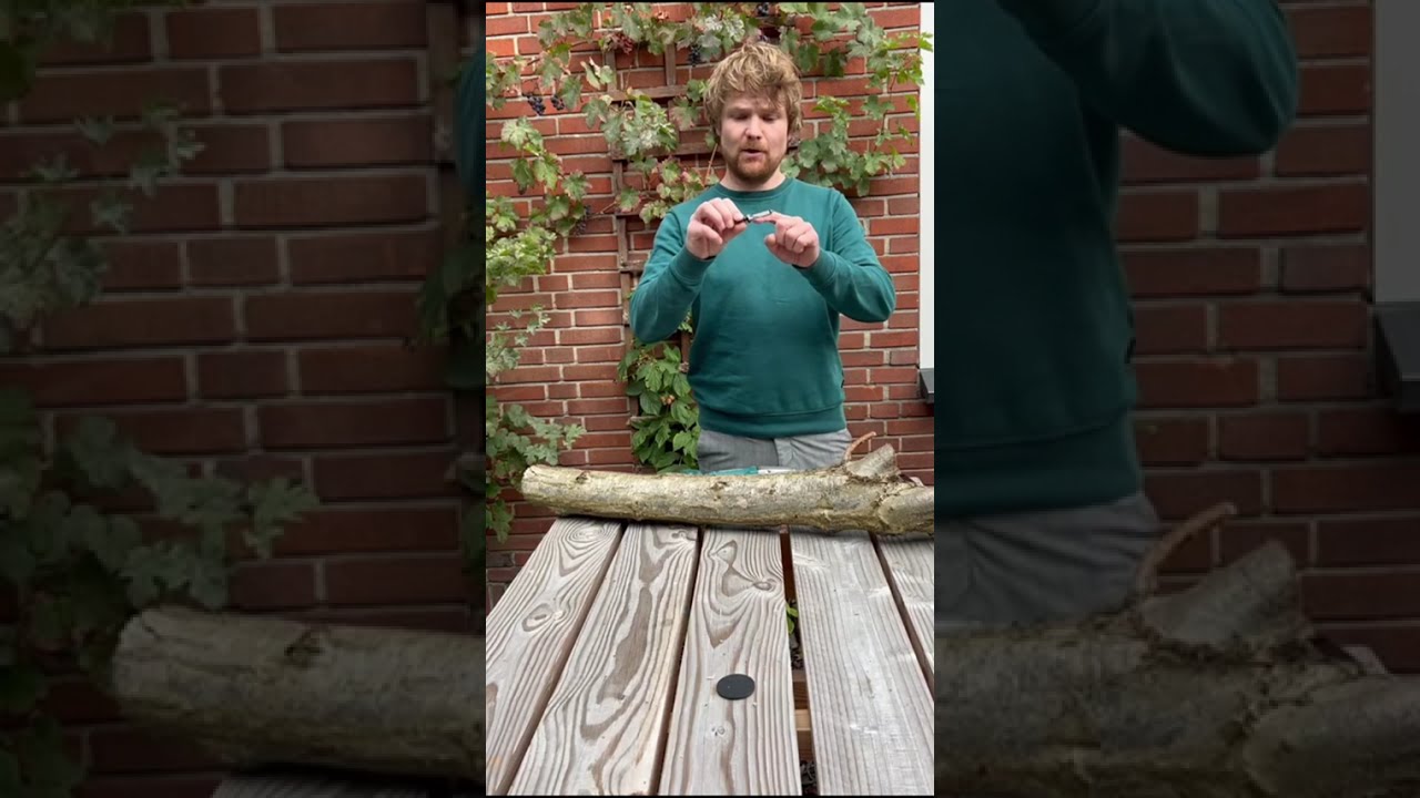 Paddenstoelen kweken op boomstammen met Fryslan Fungies plug & grow set