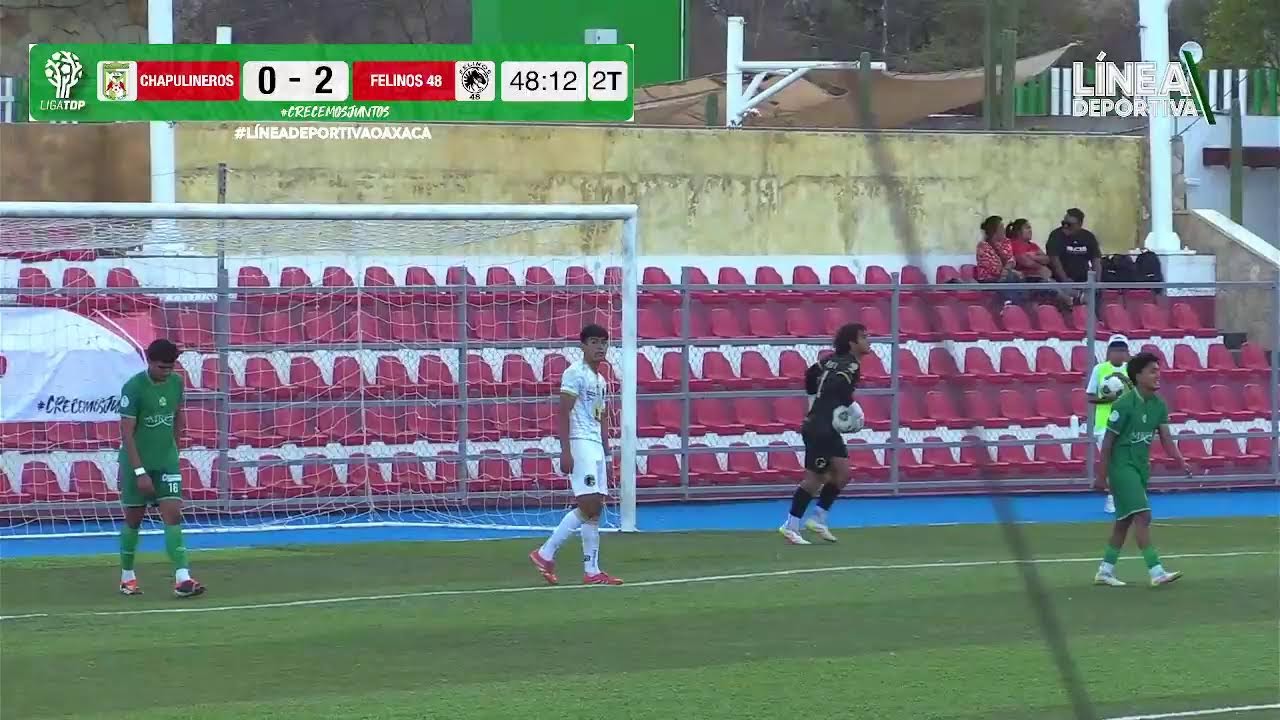 Emisión en directo de Chapulineros de Oaxaca