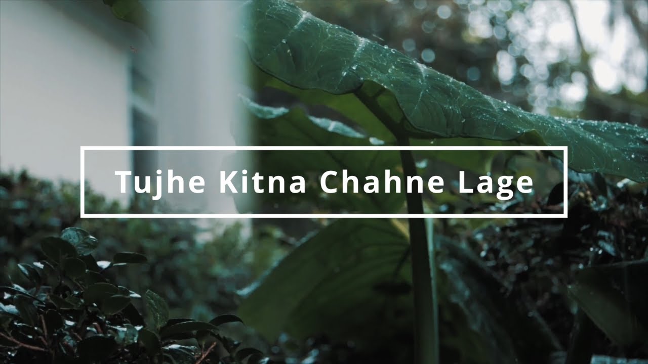 Tujhe Kitna Chahne Lage (Slowed + Reverbed) | Kabir Singh | TearfulTunes
