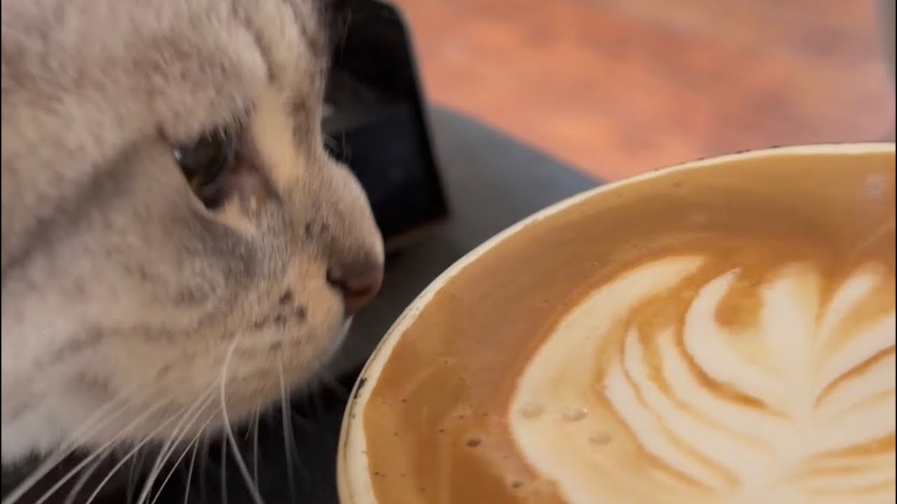 This Moment｜Making Coffee.05