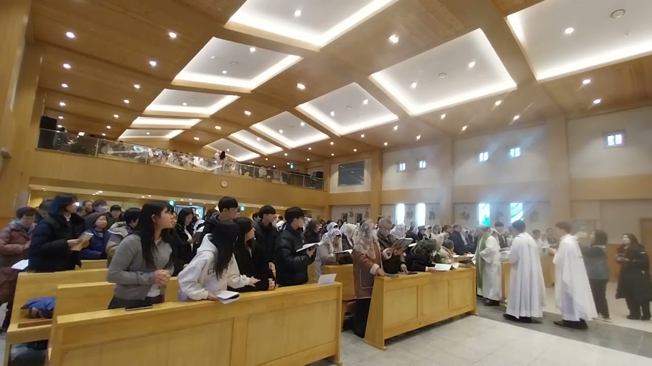 파견345-김부영 새사제 첫미사 20260208