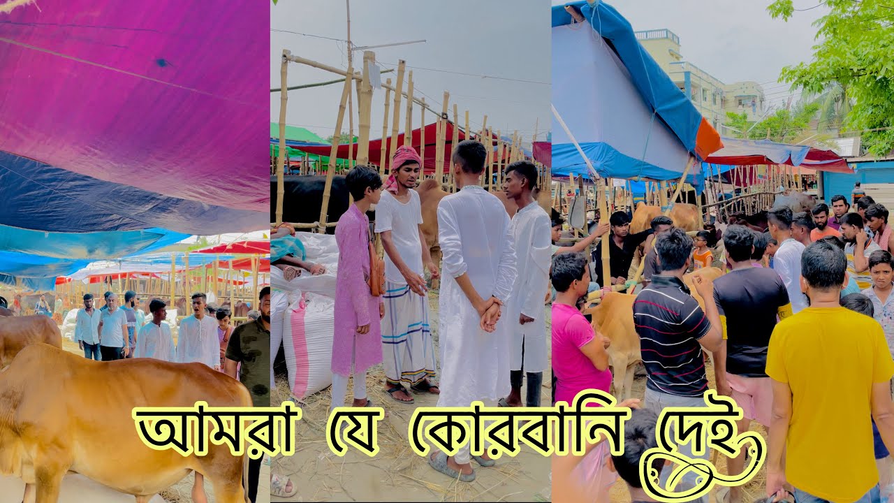 আমরা যে কোরবানি দেই