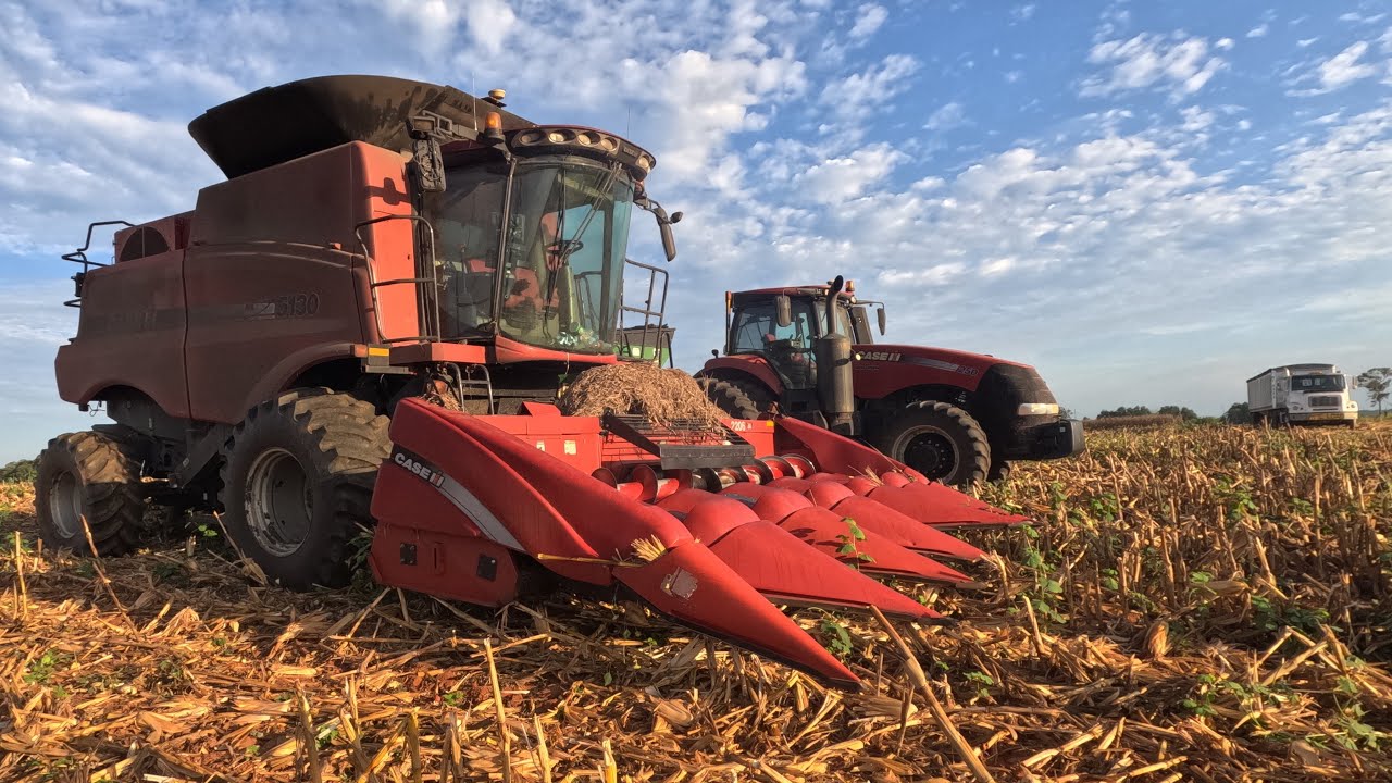 Corn Harvest Finale