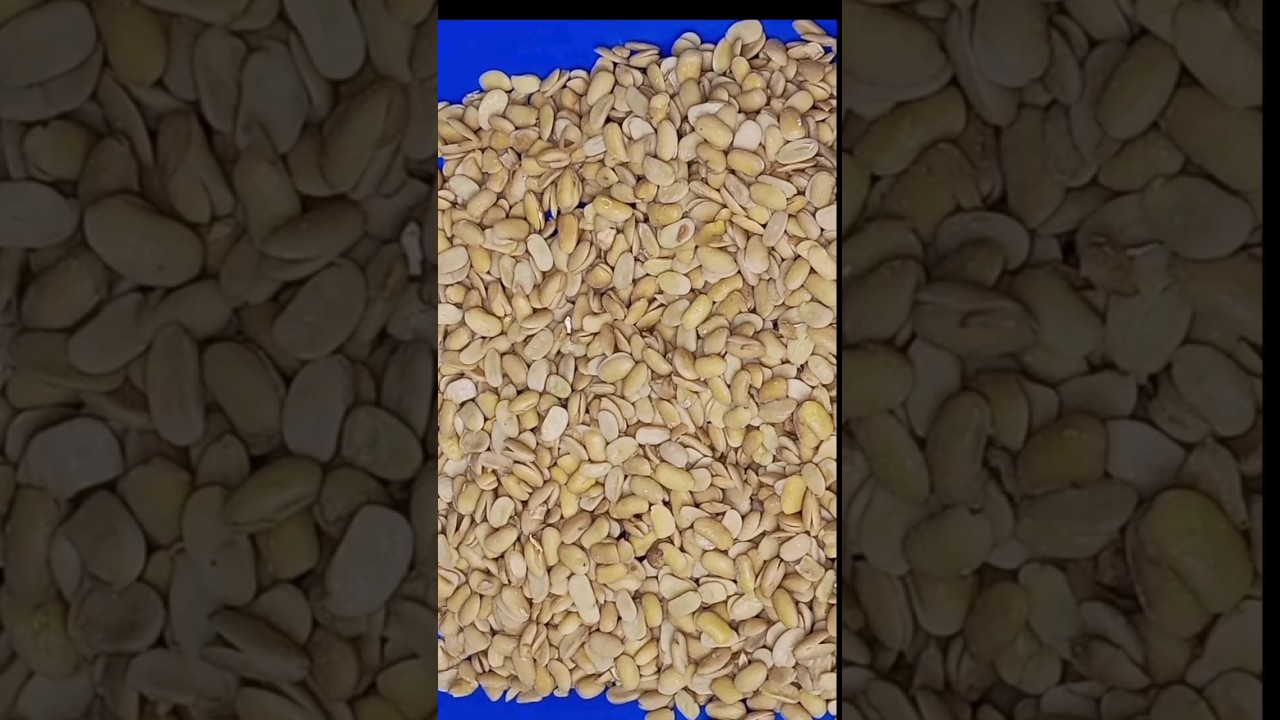 how to make soybean powder-the best method.