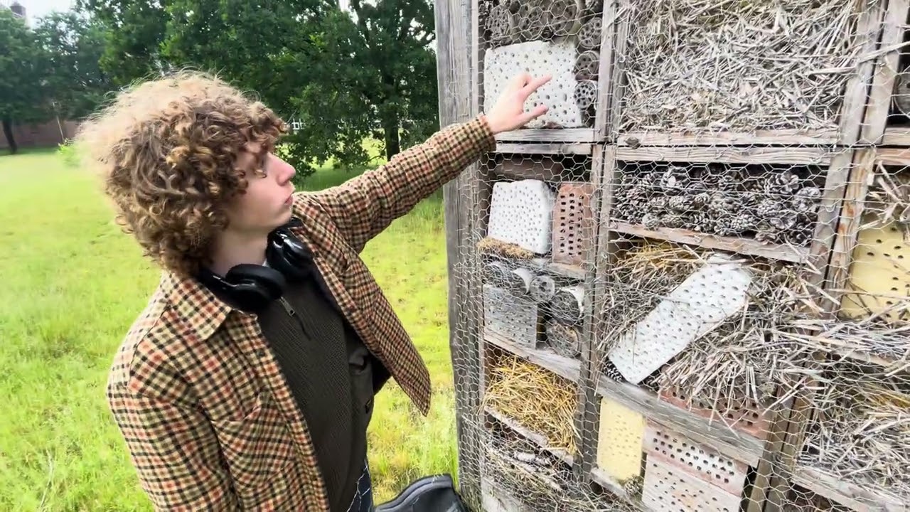 Felix in Deurne - Dec 2022