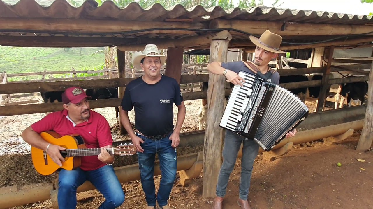 Boi Tufão - Falcão e Vardel e Duduzinho Sanfoneiro