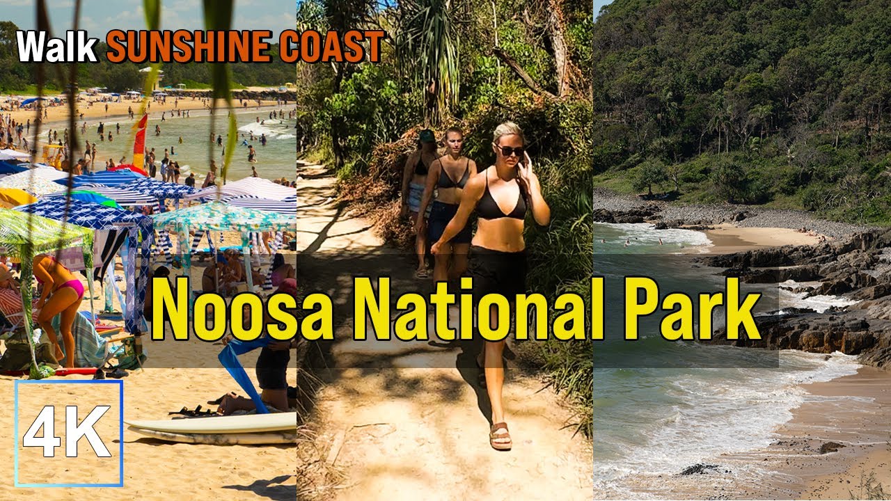 Walking Tour at Noosa National Park Australia | 4K UHD | Sunshine Coast, Queensland