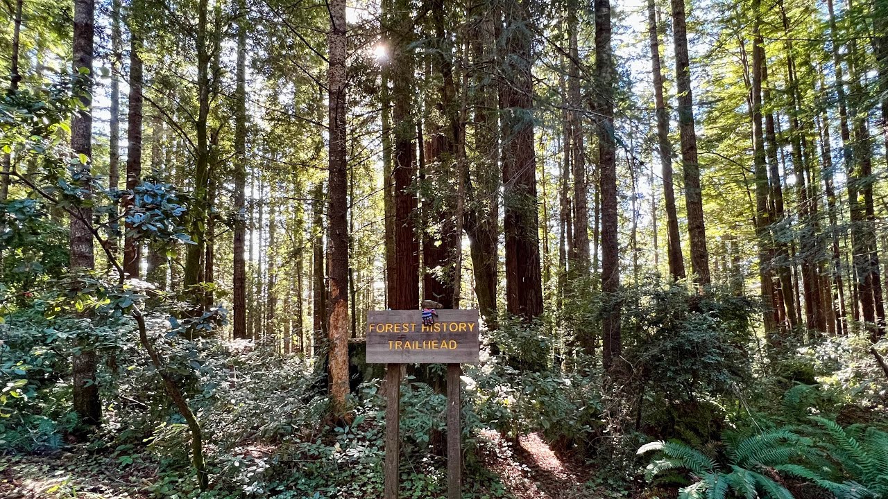 Our 5th Turkey Ride.. with a bun in the oven! | Mendocino MTB