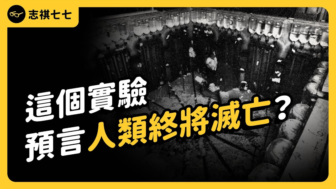 放棄競爭、享受單身、走向滅亡......，經典的「老鼠烏托邦」實驗，早就預告了人類的未來？｜志祺七七