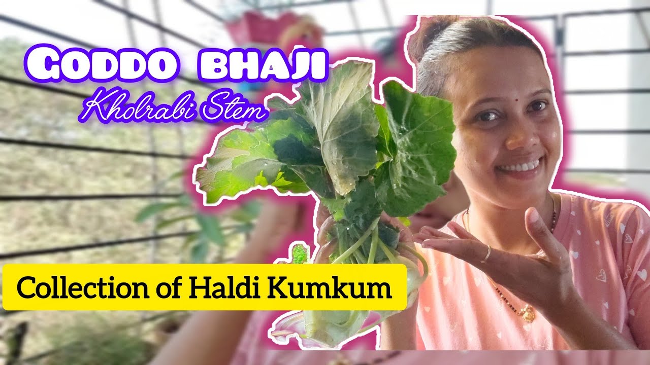 Ladies Special Haldi Kumkum Collection| Tasty Vegetable Recipe | @MrsDalvi-Goa 