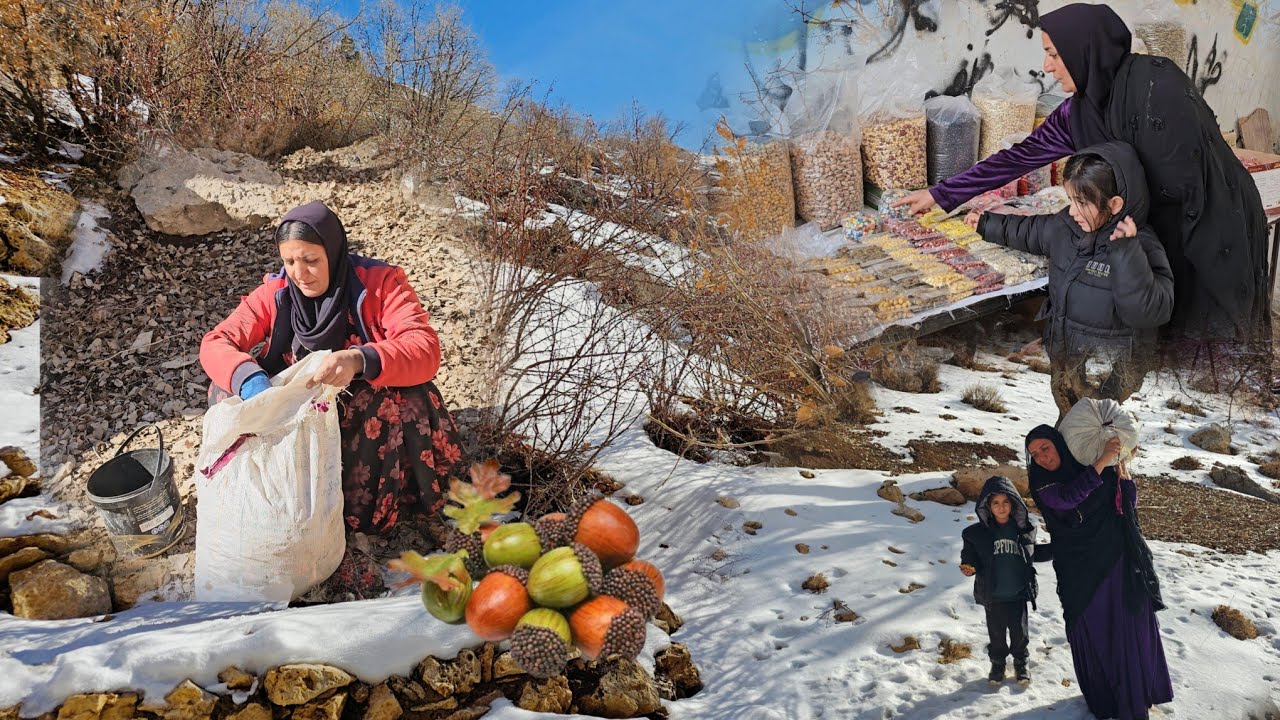 Whispers of Winter Farideh's Iron Will to Make a Living by Collecting Acorns