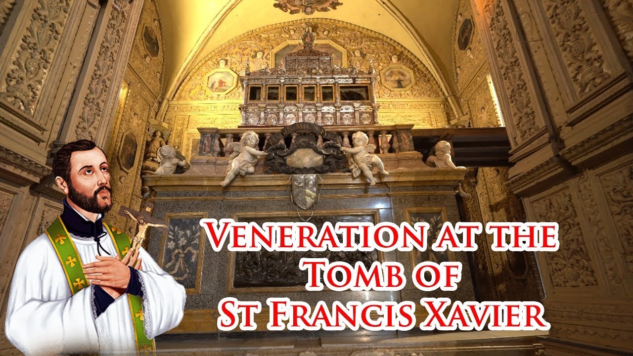 Experience the Grace of St. Francis Xavier | Sacred Relics Veneration✨ - 3 Aug