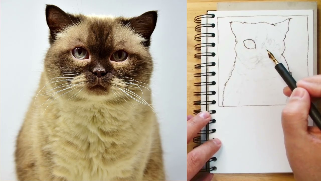 Let's Draw Together 14: Colorful Quirky Cat Portrait.  Lo Fi jams, drawing, company,