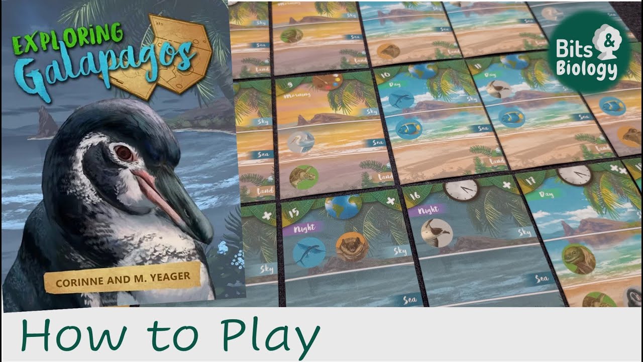 Exploring Galapagos How to Play | Bits & Biology