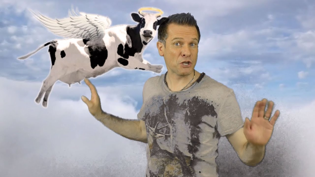 Wenn K&uuml;he fliegen - Alpenraudis (offizielles Musikvideo)