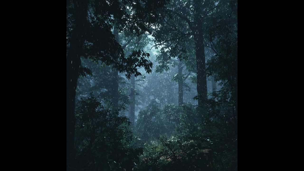 Rain in Dense Forest at Night – 8 Hours Deep Sleep