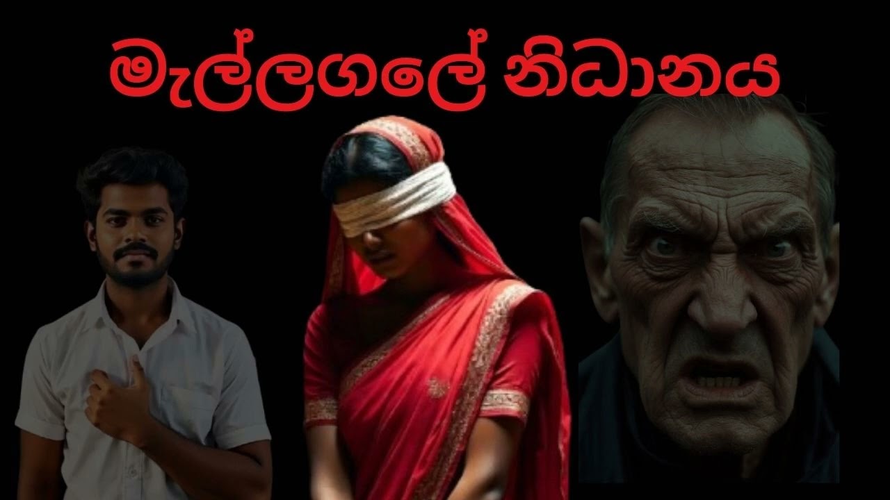 මැල්ලගලේ නිධානය/ sinhala ghost video/ holman katha