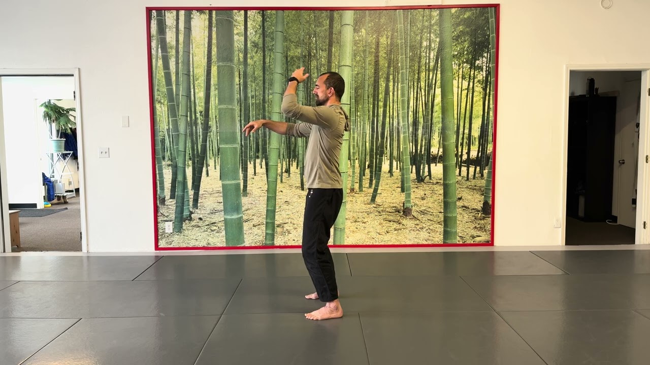 Tai Chi Video #1  -  Raise Hands