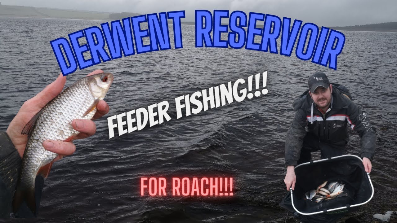 ROACH FISHING in WILD conditions!! FEEDER fishing for BIG ROACH!!! DERWENT Reservoir...