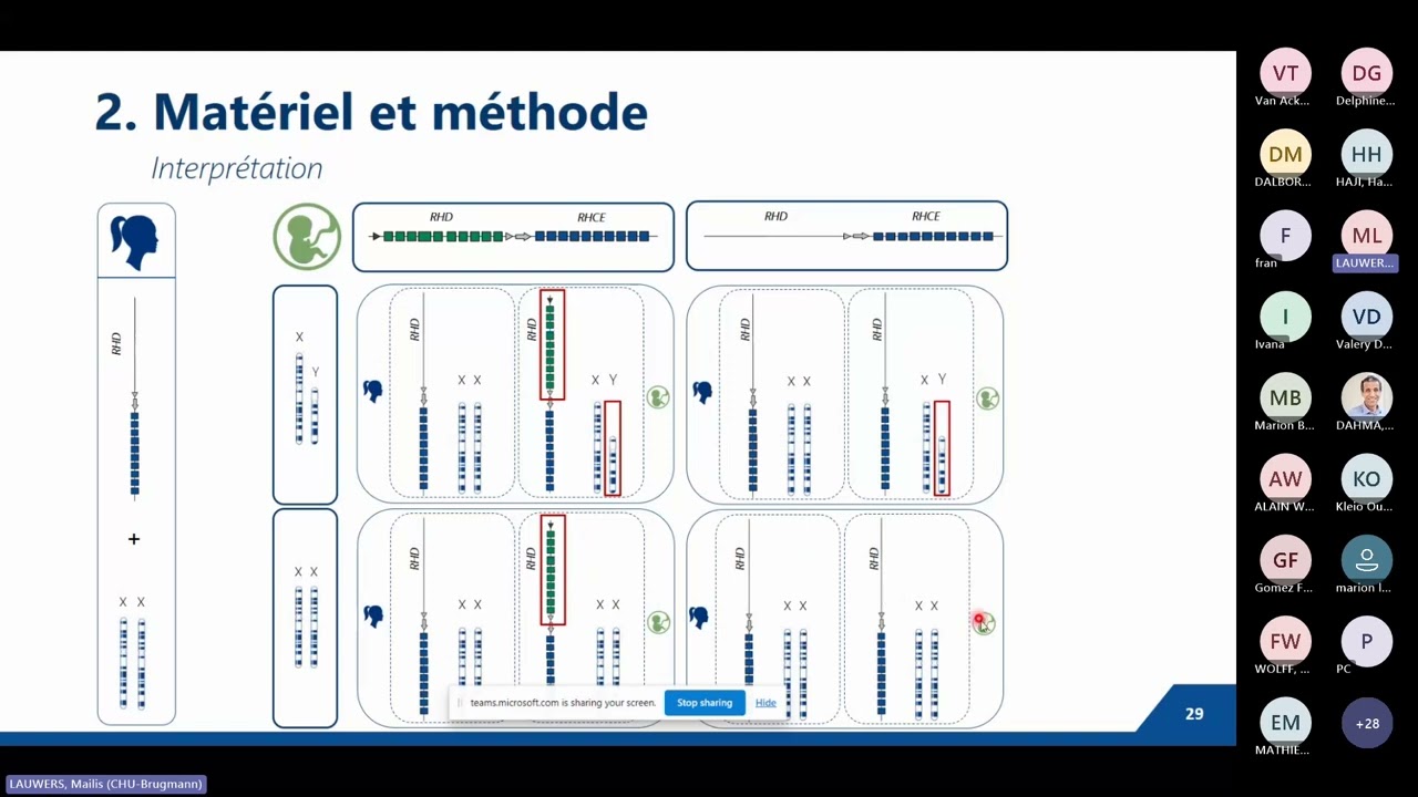 Mailis Lauwers (CHU Brugmann, anciennement LHUB-ULB – Banque de sang)