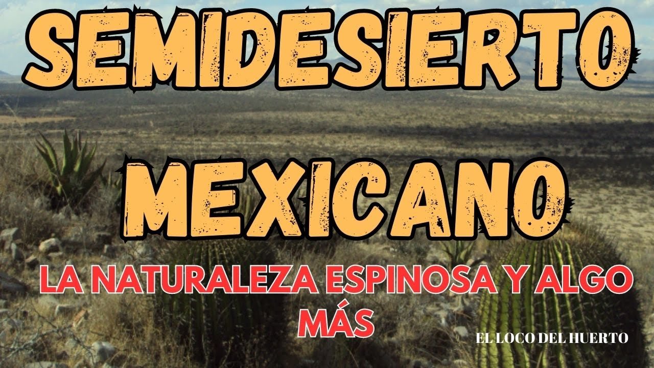 PASEO POR EL SEMIDESIERTO MEXICANO