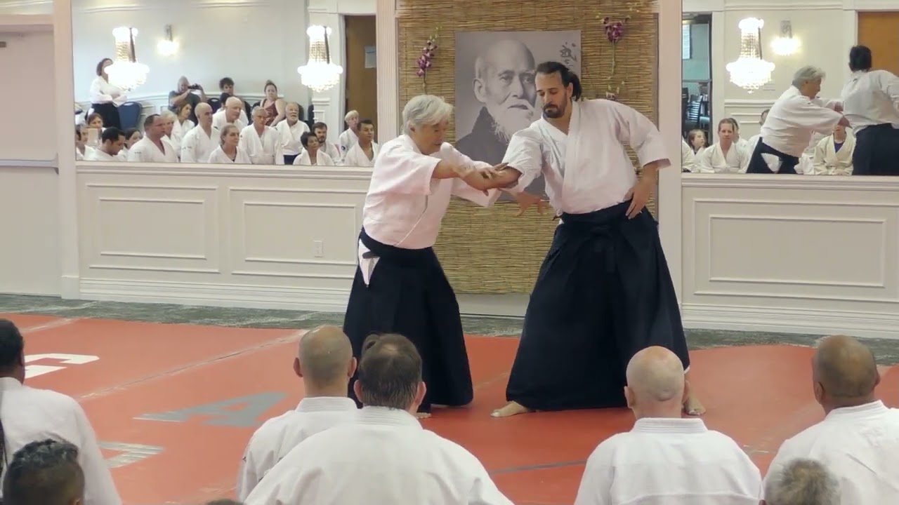 2019 Florida Aikikai Wintercamp Class 1 Shihan Yoshimitsu Yamada