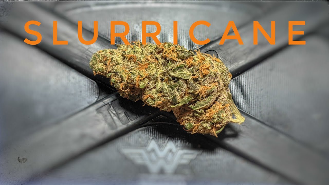 Canadian Cannabis Strain Review - Slurricane - Cannadis Finest