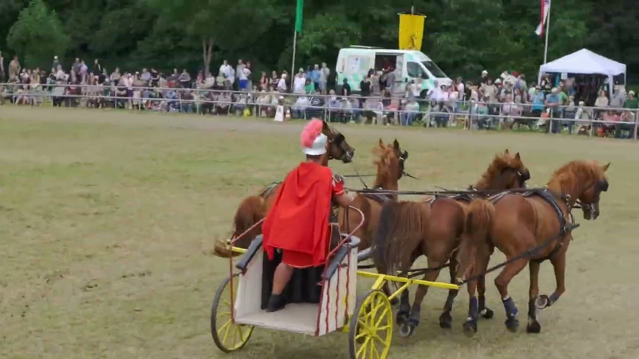 R&ouml;merwagen 44. Wenigenaumaer Ponyshow