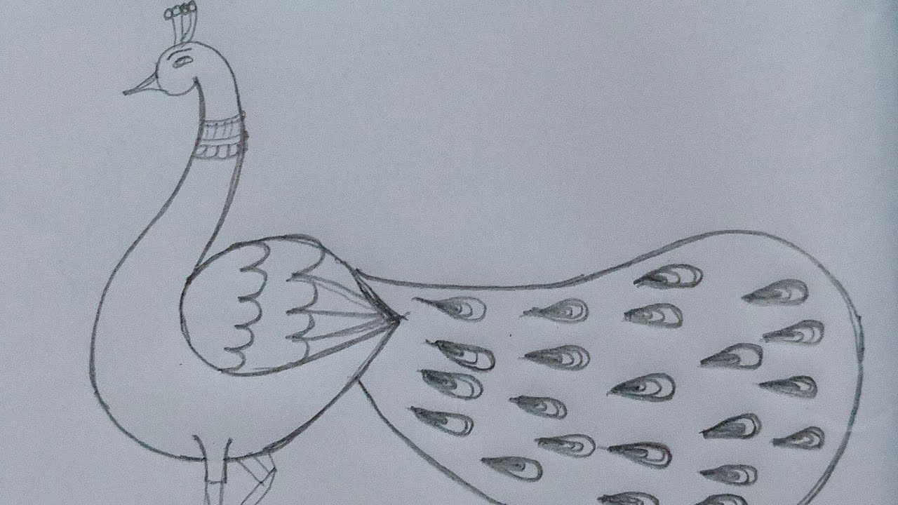 How to draw a peacock 🦚 #peacock #murugan #bird #easydrawing #easy 