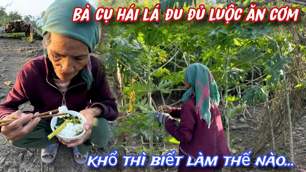 VÌ QUÁ KHỔ Không có gì ăn BUỘC LÒNG bà cụ phải hái lá ĐU ĐỦ luộc ăn../422