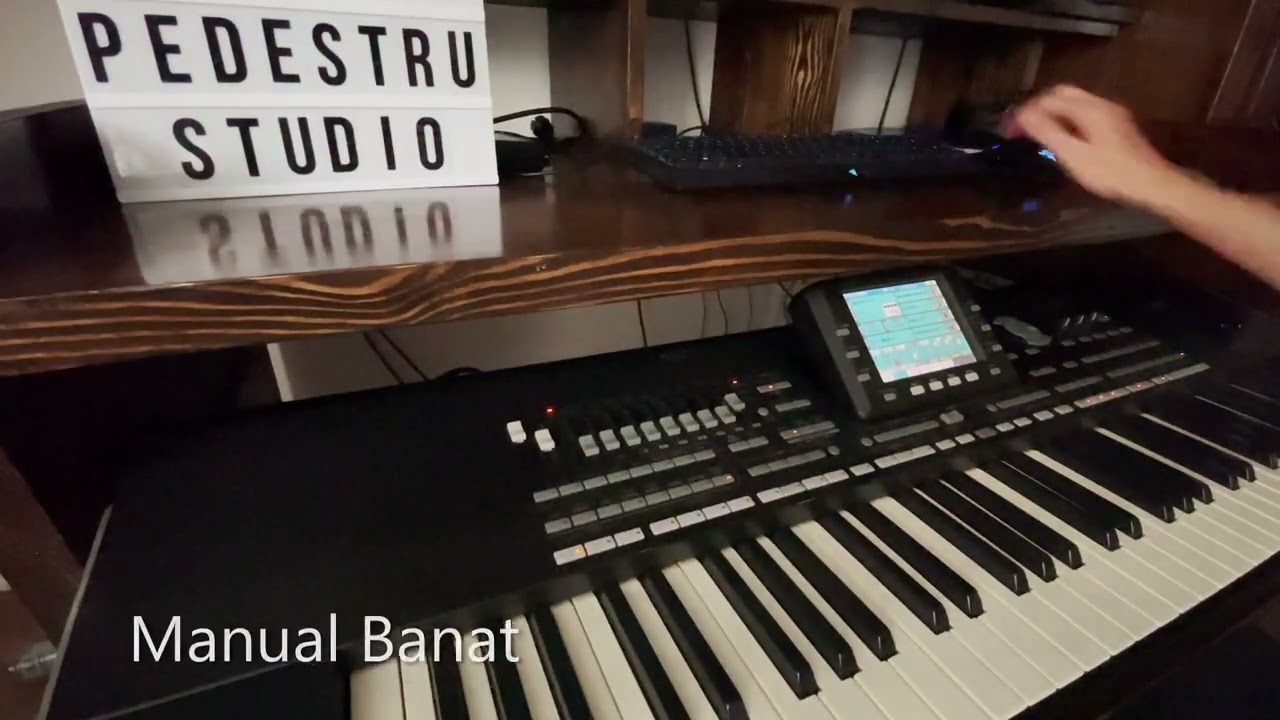 SET Korg Pa3x Pa1000 Adita Pedestru Complet 2022 Manual & Automat Ardeal 👉 0753 460 368 👈