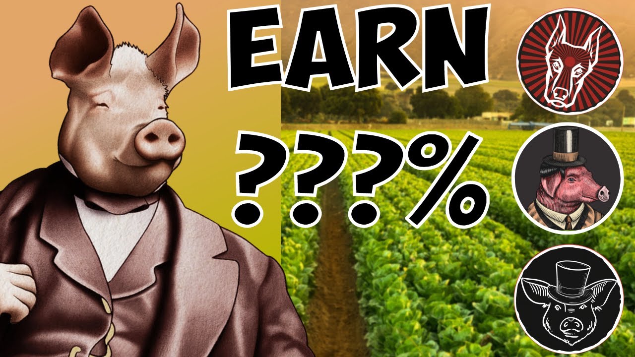 Full Animal Farm Ecosystem Overview & My Strategies | Maximize Yield in the Bear Market (HIGH APR)