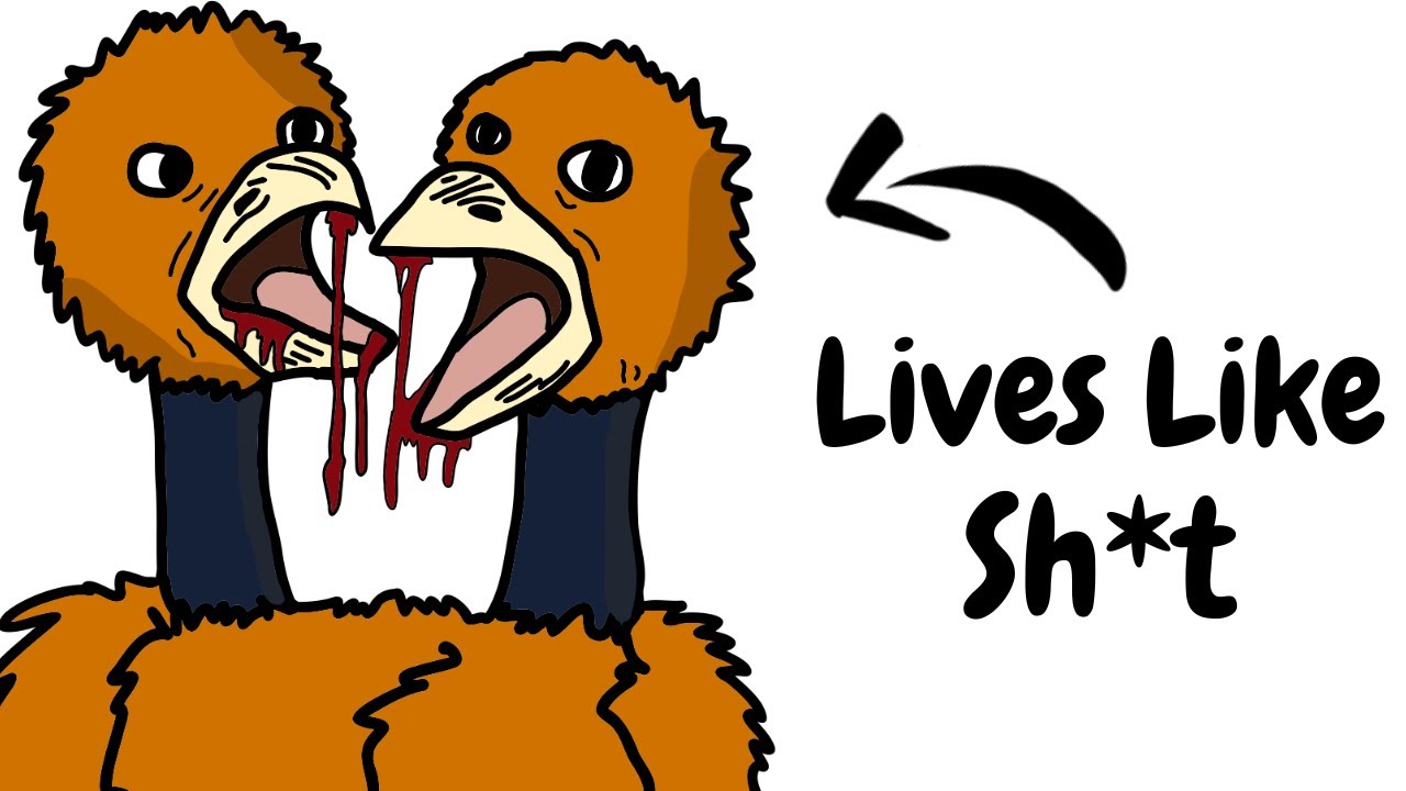 Why it Sucks to Be Born as a Doduo | Pokearth