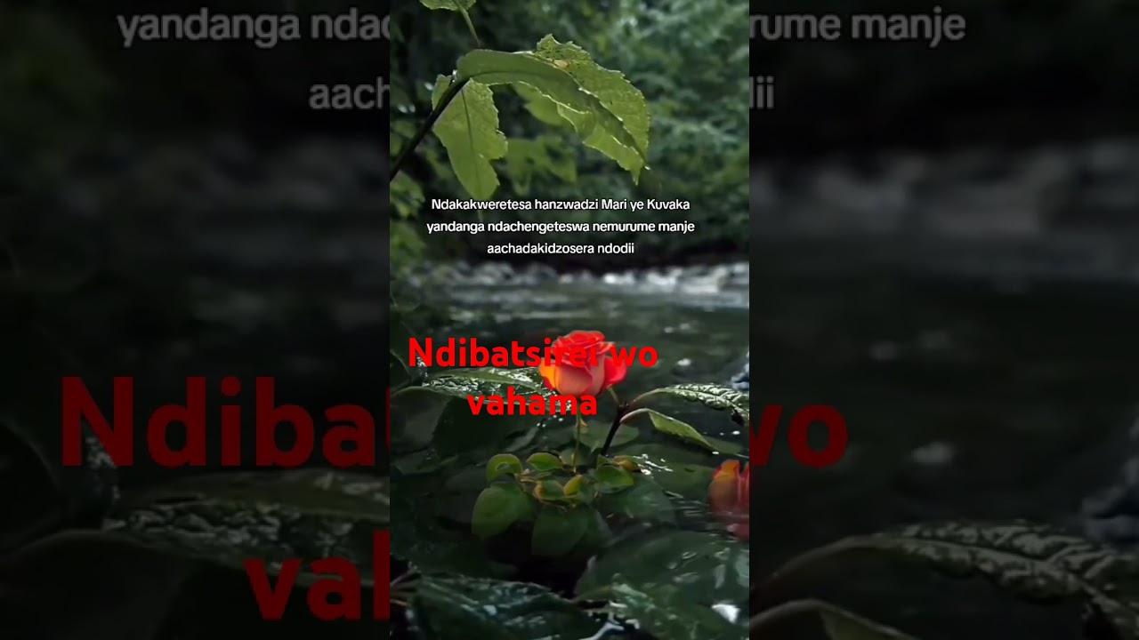 hanzwadzi yangu andiparadzira imba