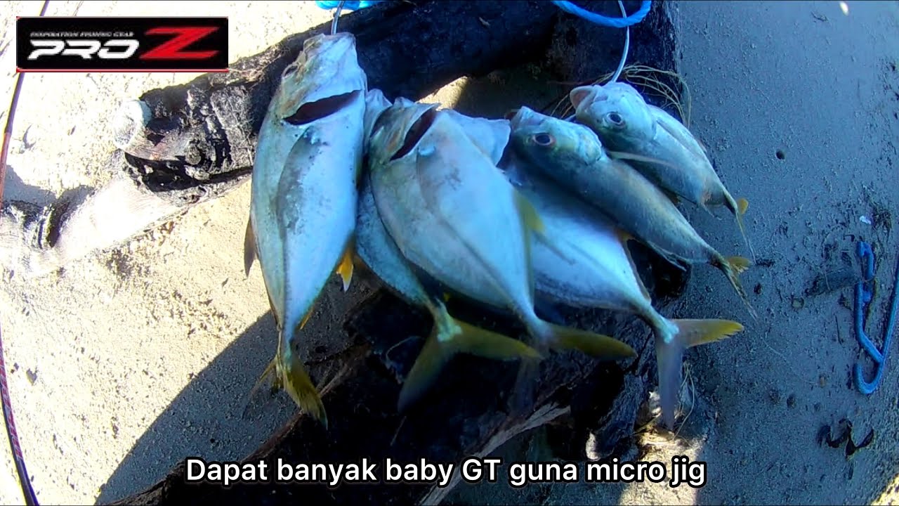 Micro Jig Tepi Pantai | Ultralight Landbase Jigging Di Sabah | Micro Jig | Muara Beringgis