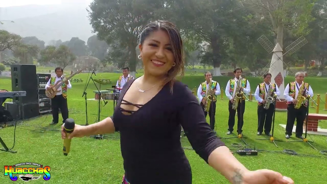 LOS HUACCHAS DEL PERÚ 🎷🎻🎹 MIX HUAYNOS CERREÑOS 🎵