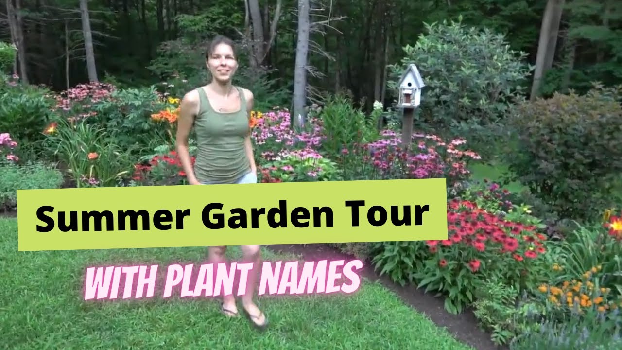 🌺🌸🌼 Summer Perennial Garden Tour 2020 🌸🌼🌺