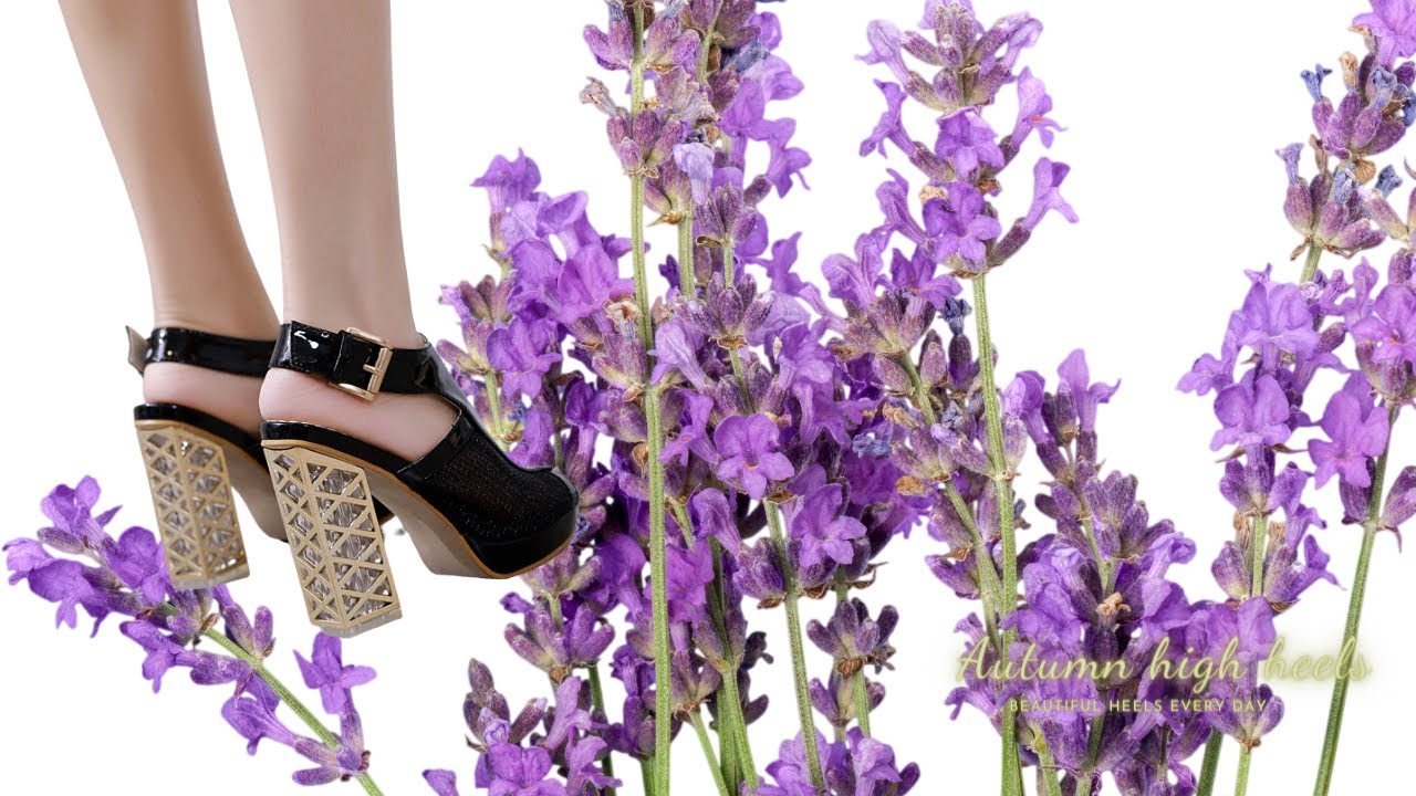 Crystal Buckle Strap High Heel Sandals | Holiday Showcase