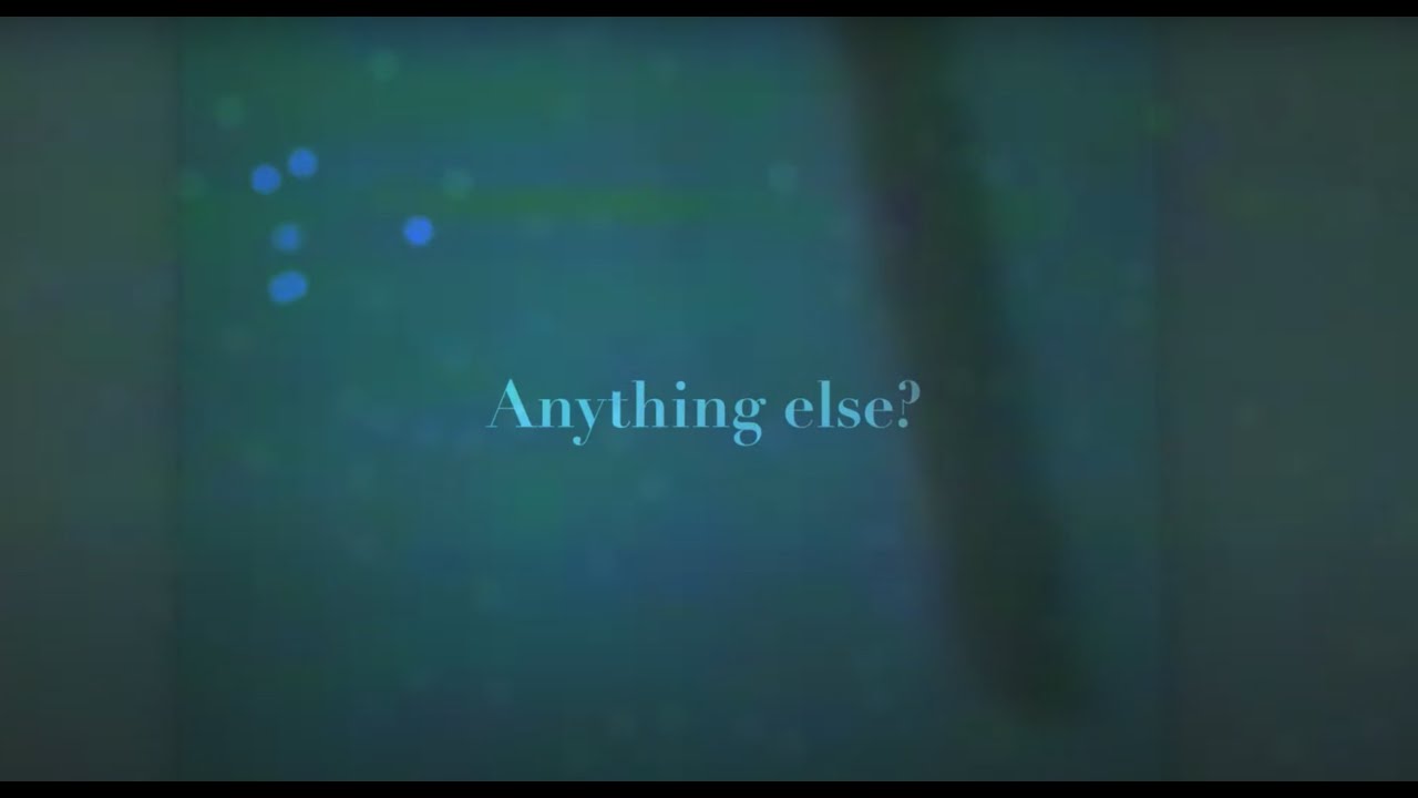 Negativland - Anything Else