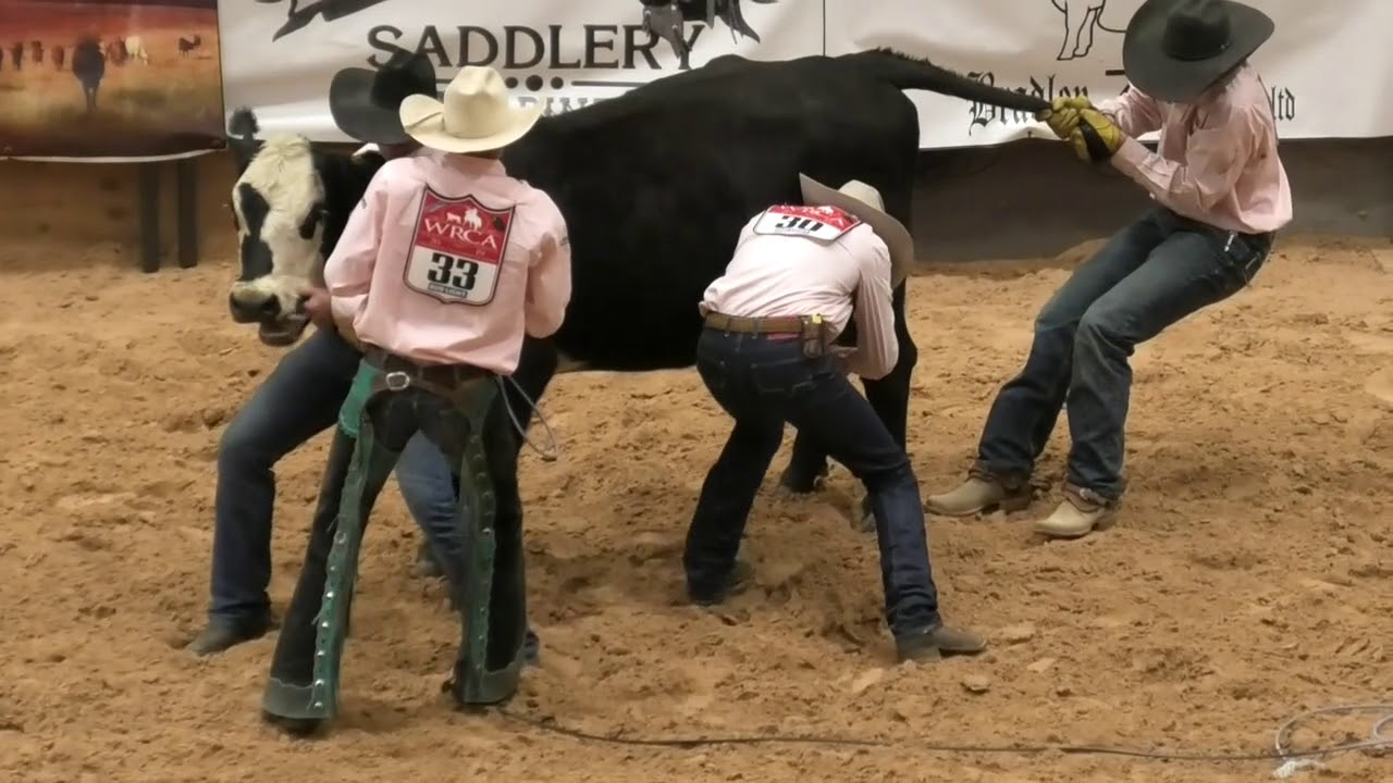 Wild Cow Milking - 2019 WRCA World Championship Ranch Rodeo (Friday)