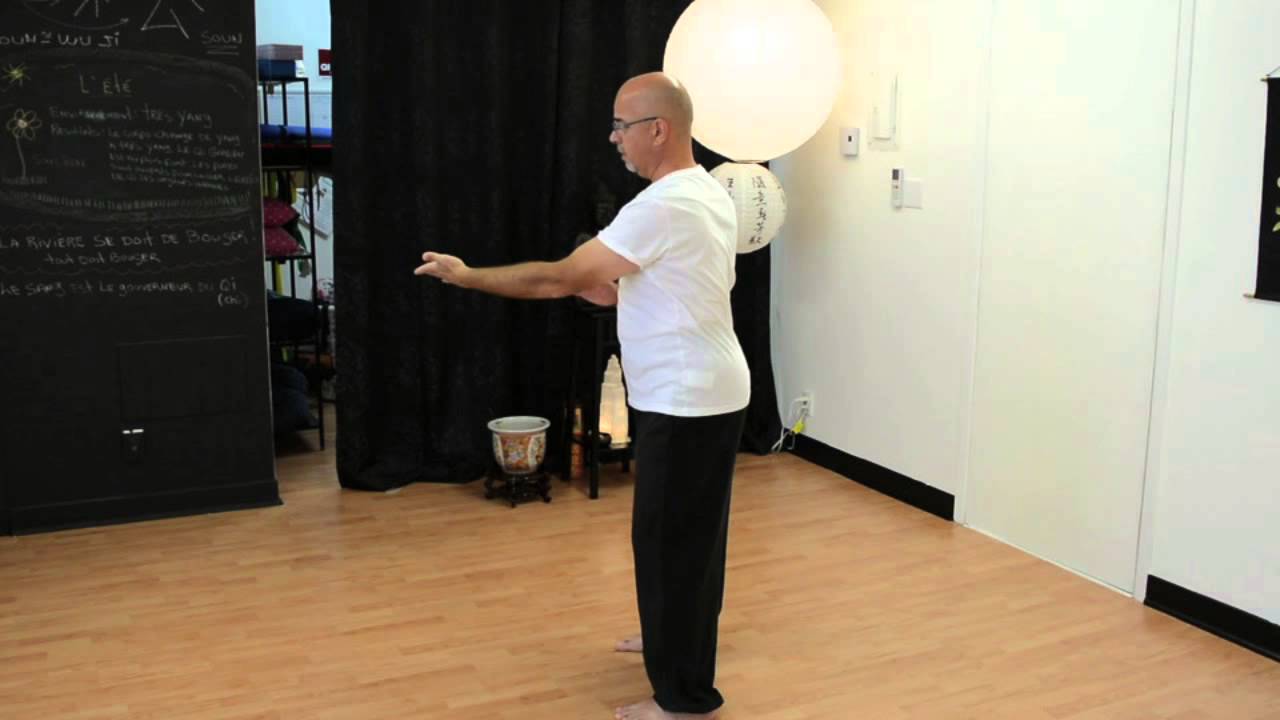 Qi Gong of the Five Elements