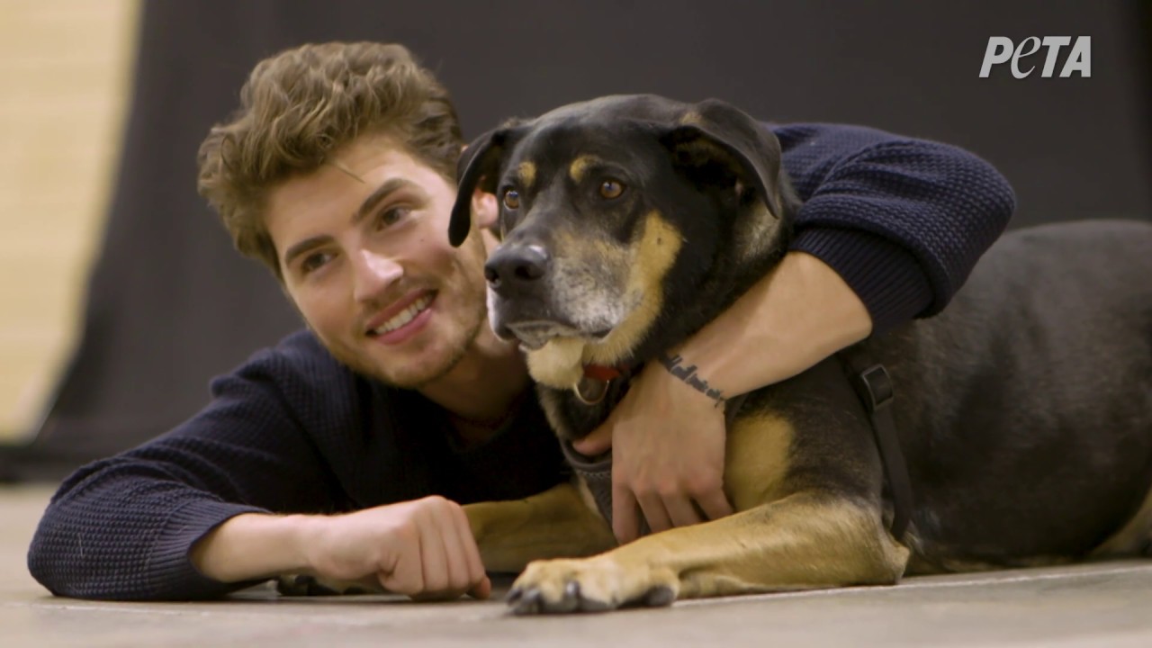 Actor Gregg Sulkin: Adopting is crucial
