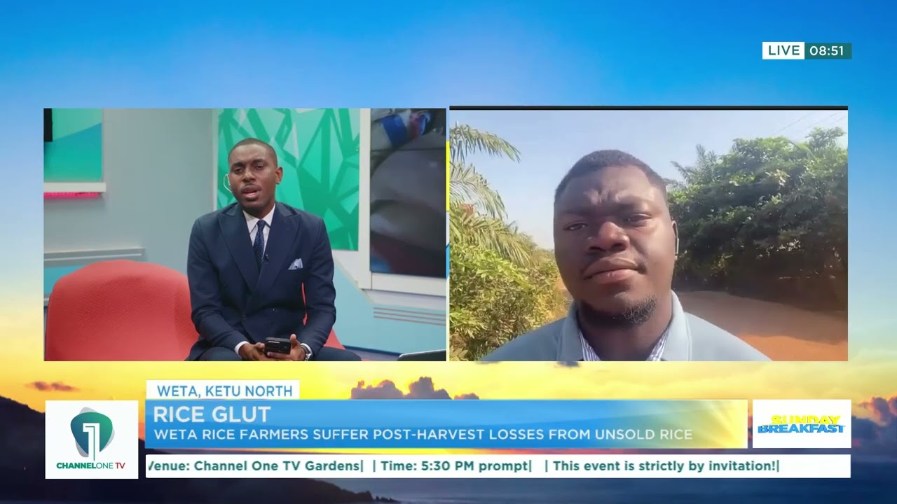 Rice Glut Crisis: Weta Farmers Suffer Heavy Post-Harvest Losses | Sunday Breakfast