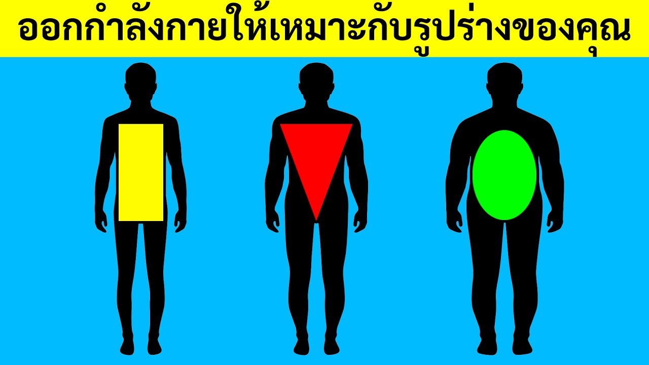 การออกกำลังที่ดีที่สุดสำหรับประเภทรูปร่างของคุณ