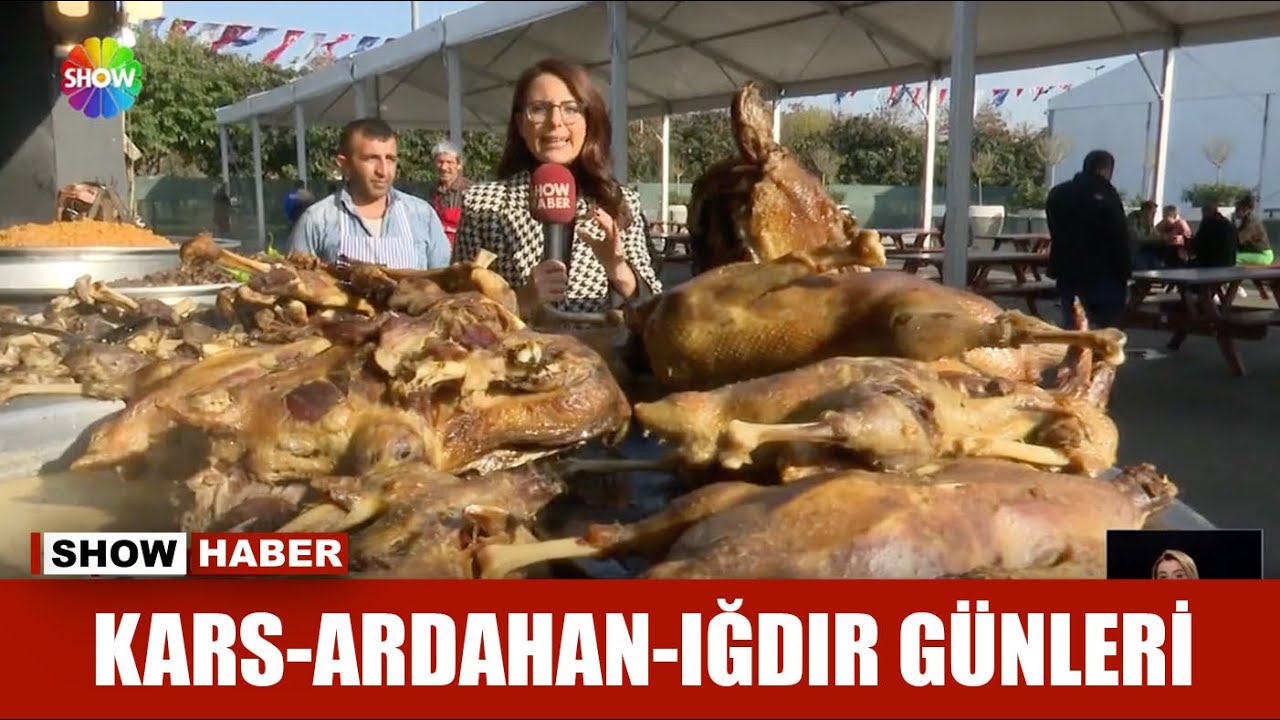 Kars-Ardahan-Iğdır günleri