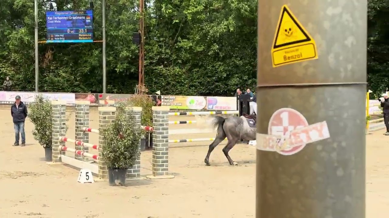 Chad White by Cornet Obolensky x Lancer III, 2019, gelding