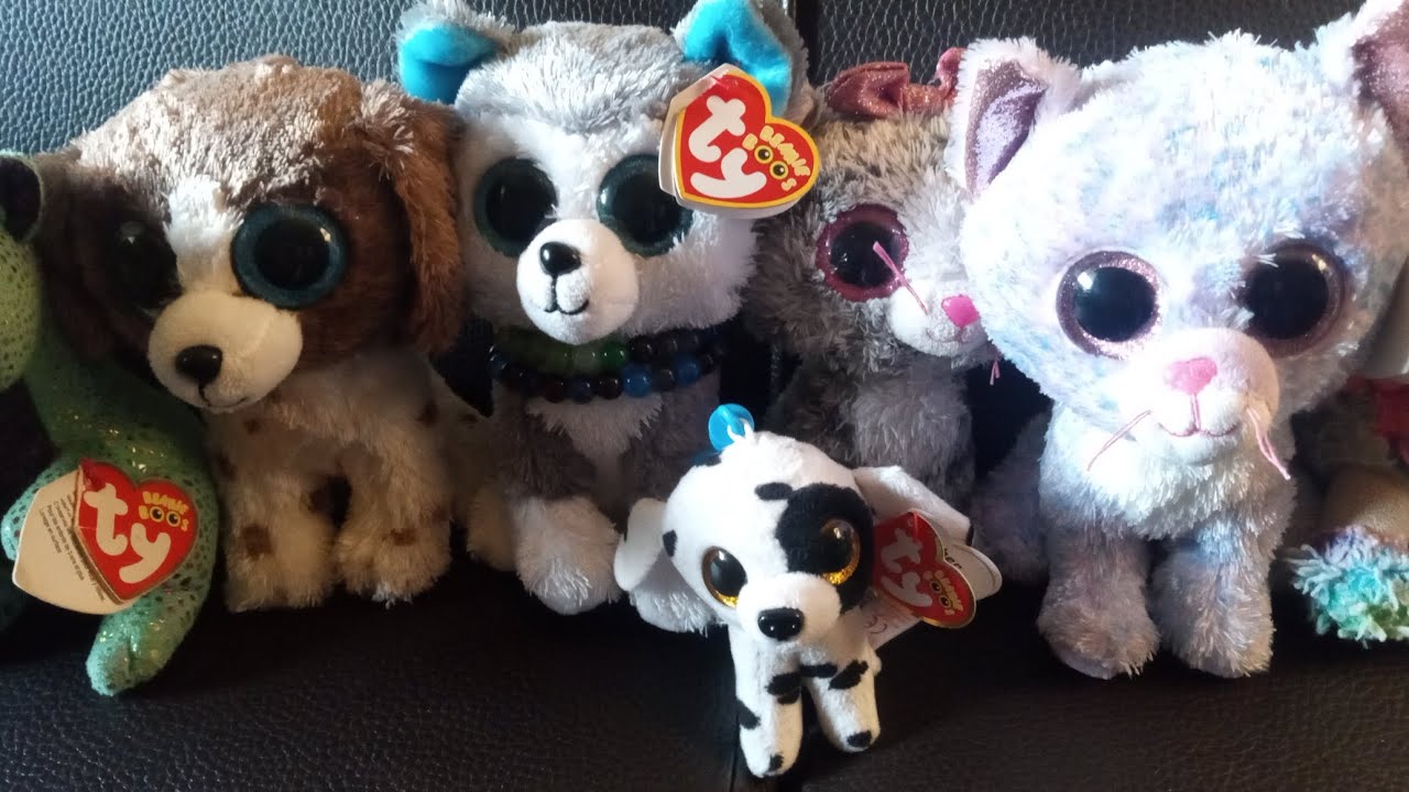 A beanie boo Halloween movie night