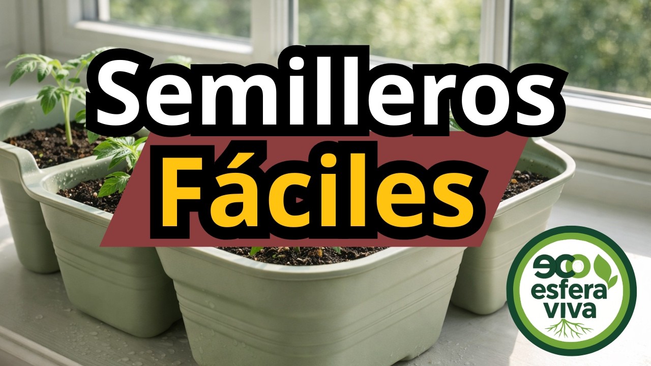 Cómo hacer SEMILLEROS SÚPER FÁCIL (sin gastar dinero y sin errores)