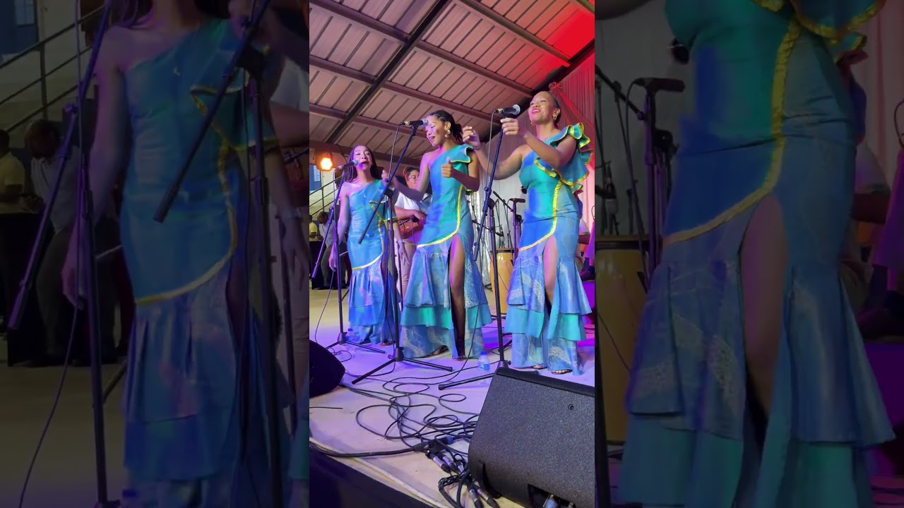 They brought the house down. #parang #dance #trinidadculture #shortsvideo