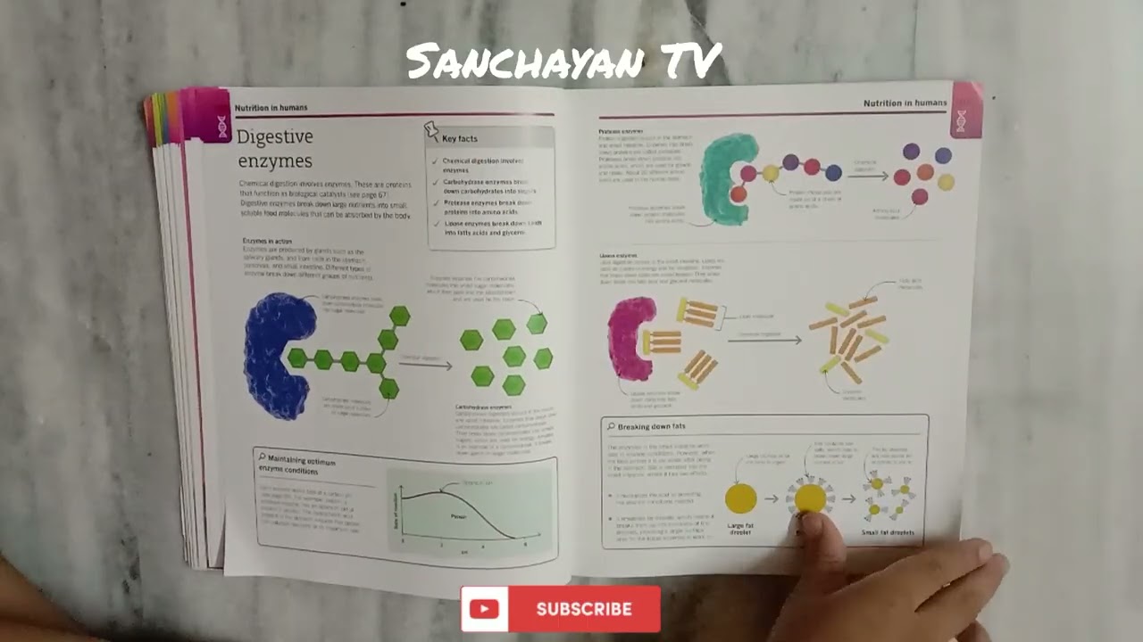 Super simple biology DK publication flip through review